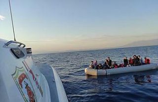 Yunanistan’ın geri ittiği 49 düzensiz göçmen...