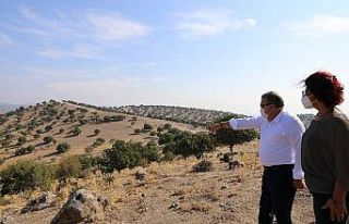 Yunusemre Belediyesi sokak hayvanları için rehabilitasyon...