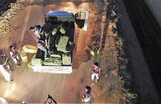 Zehir tacirliğine soyunan çiftçi, ilk işinde yakalandı