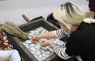 10 binlerce ata tohum toprakla buluşacak