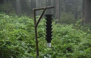 17 bin hektar alana sahip Hatila Milli Parkı’nın...