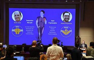 2021 Nobel Tıp Ödülü sahiplerini buldu