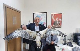 4 bin kilometreden geldi elektrik akımına kapıldı...