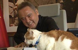 58’inci Antalya Altın Portakal Film Festivalinin...