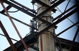 5 gün çatıda yardım bekledi, itfaiyeyi görünce...