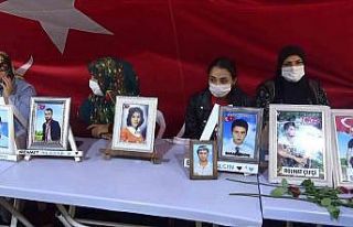 Acılı aileler çocuklarını PKK ile HDP’den istiyor