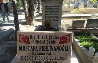 Ağabeyi, 1980 darbesinde idam edilen Ülkücü Pehlivanoğlu’nu...