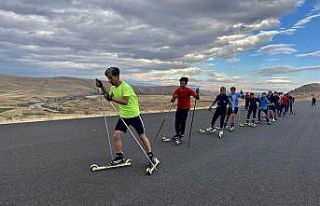 Ağrılı kayaklı koşu sporcuları kışın karda,...