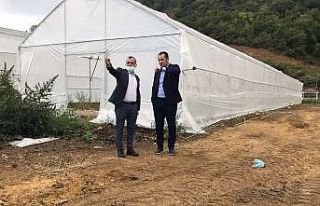 Akçaabat Belediyesi bünyesinde 2 adet sera faaliyete...