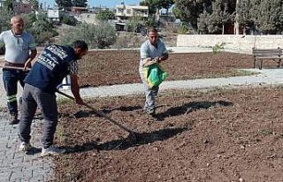 Akdeniz’de park ve yeşil alanlarda kesintisiz bakım