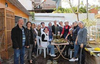 Alaşehir’in tescilli yaprağında kullanım hakkı...