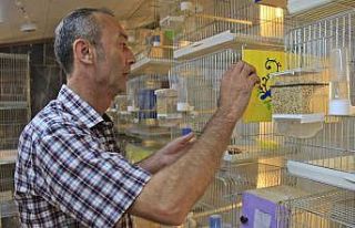 Alkol bağımlısıydı, bir muhabbet kuşu hayatını...