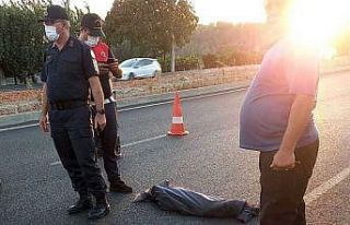 Altı yaşındaki Arif trafik kazasında hayatını...