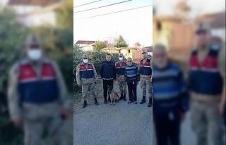 Alzheimer hastası yaşlı şahsı iz takip köpeği...