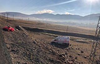 Ambulans sürücüsü köpeğe çarpmamak için direksiyonu...