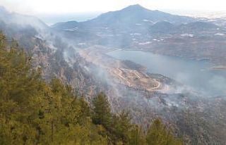 Anamur’da orman yangını