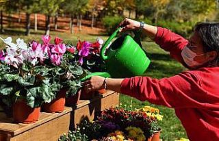 ANFA Bitki Evi üçüncü şubesini 30 Ağustos Zafer...
