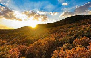 Ankara’da eşsiz sonbahar manzarası