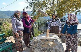 Antalya’da asırlık "dibekte buğday dövme"...