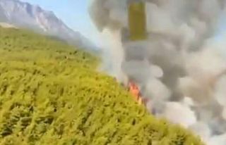 Antalya’da orman yangını