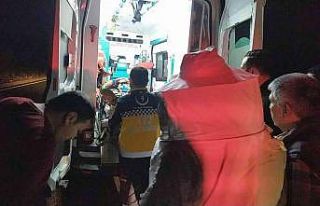 Arı kovanı taşıyan kamyonet devrildi: 2 yaralı