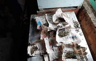 Arı kovanlarına zulalanan uyuşturucu paketleri...