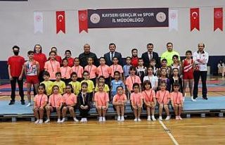 Artislik Cimnastik Cumhuriyet Kupası sona erdi