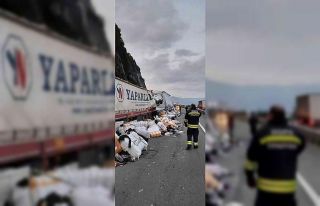 Artvin’de tır kazası: 1 yaralı