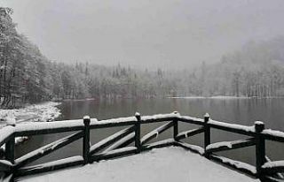Artvin’in Karagölleri beyaza büründü