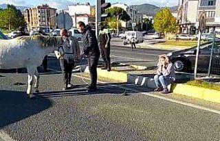 Ata çarpan kadın gözyaşına boğuldu