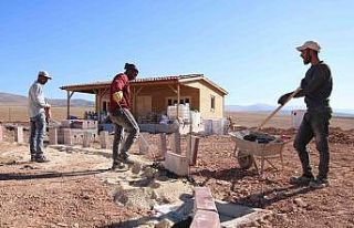 Atıl tarla hobi bahçesi olacak