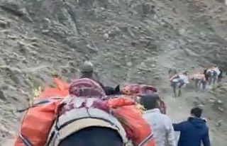 Atlarla uyuşturucu sevkiyatına polis engeli