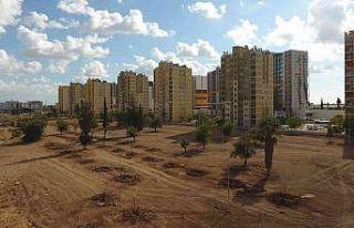 Ay Deresi yemyeşil vadiye dönüşecek