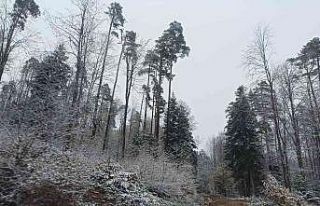 Ayancık’ın yüksek kesimlerine mevsimin ilk karı...
