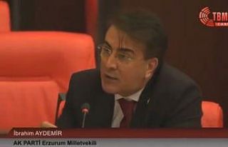 Aydemir TBMM’de Dadaşların tespitlerini aktardı