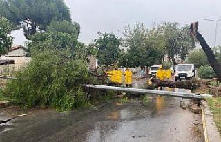 Aydın Büyükşehir Belediyesi ekiplerinden fırtınaya...