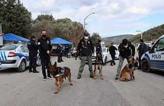 Aydın’da Sahil Rüzgarı 2 operasyonu