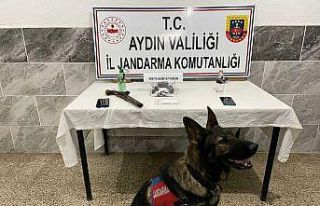 Aydın’da uyuşturucu operasyonu