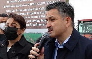 Bakan Pakdemirli Çanakkale’de damla sulamayla yetiştirilen...