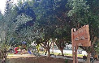 ’Bakışını sevmedik’ diyerek bıçakladılar