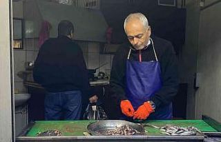 Balık bollaştı fiyatlar tezgahlara yansıdı