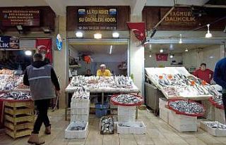 Balık bolluğu fiyatlara da yansıdı