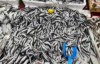 Balık hali esnafı, "Türkiye’nin en iyi balığı...