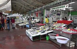 Balık tezgahlarında istavrit günü