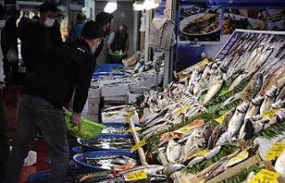 Balık tezgahlarında lüfer bolluğu devam ediyor