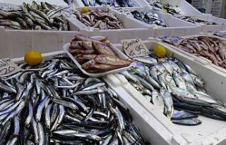 Balıkçı tezgahlarında durgunluk