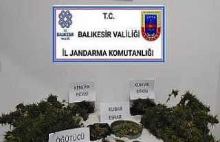 Balıkesir’de 53 kişi gözaltına alındı
