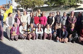 Balıkesirli kadınlar organik arıcılık sınavına...