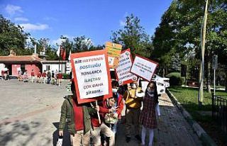 Barınak kapılarını hayvanseverlere açtı