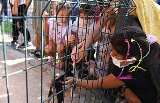 Barınak ziyaretçisi kreş öğrencilerine ‘Kedi...